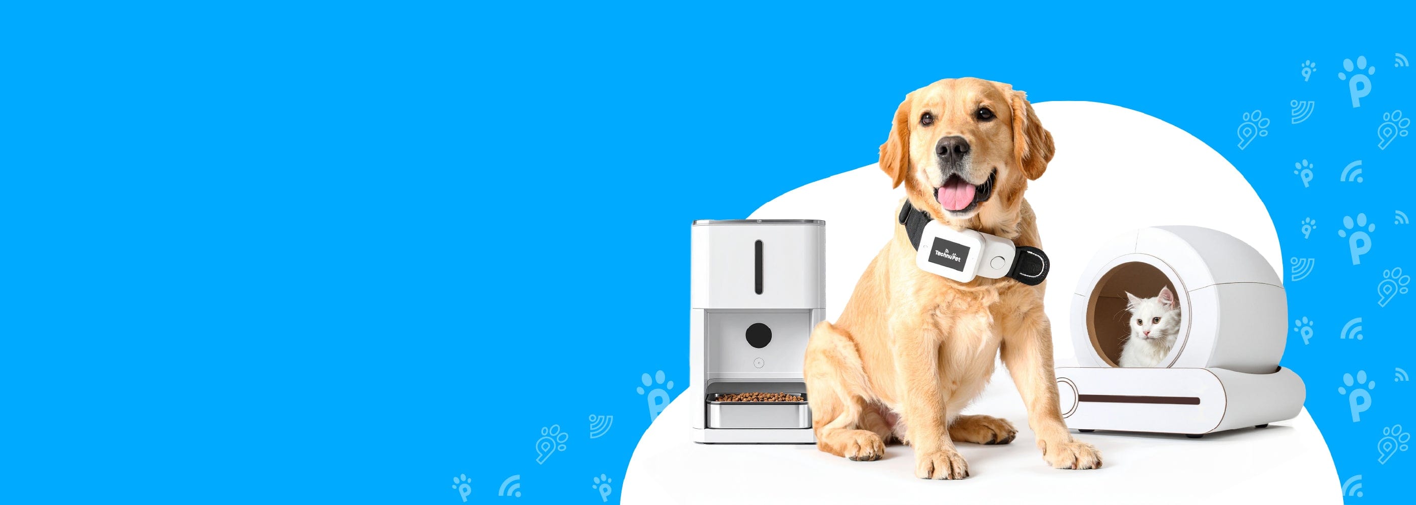 Dog with a pet product on a blue background