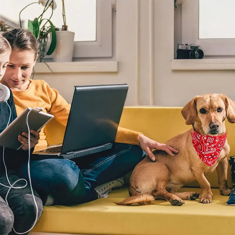 TechnuPet Pet Bandanas Adjustable Dog & Cat Bandana