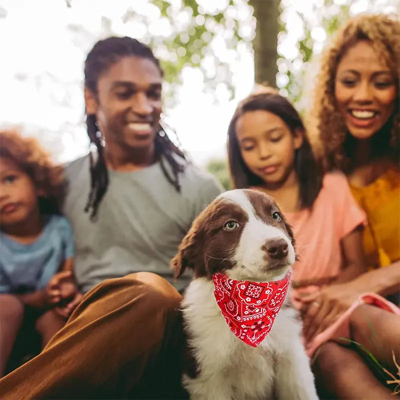 TechnuPet Pet Bandanas Adjustable Dog & Cat Bandana