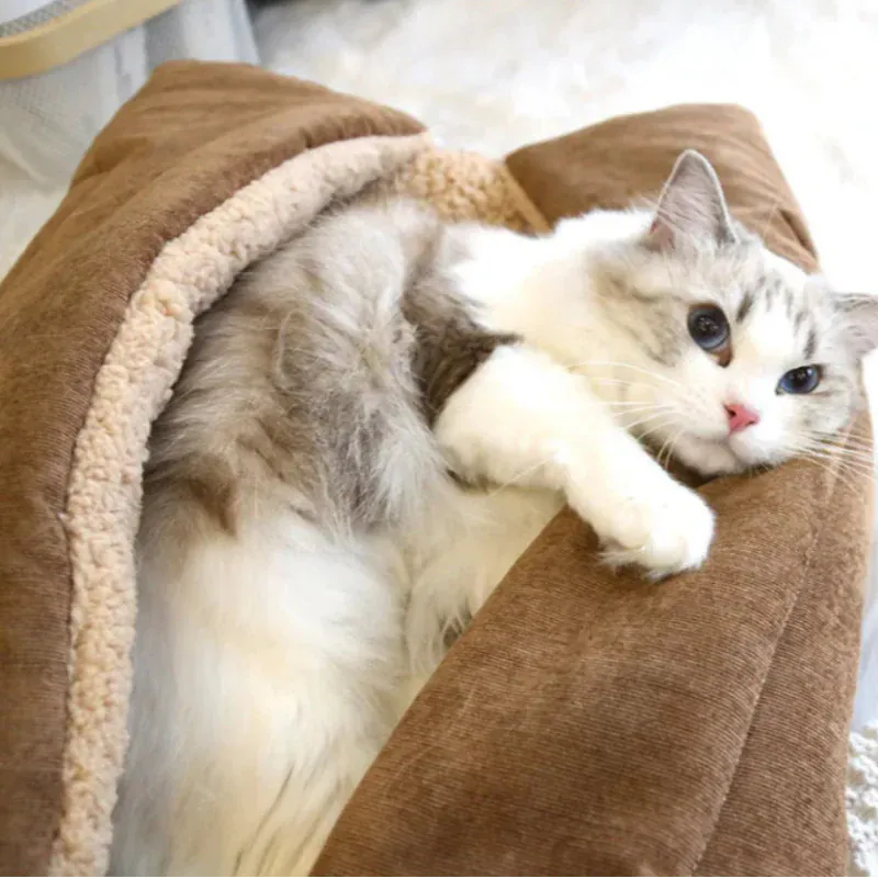 TechnuPet Cat Bed Foldable Cat Bed Mat