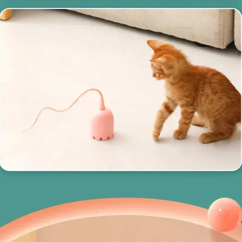 TechnuPet Cat Toys USB Rolling Interactive Cat Ball with Mouse Tail & Teaser Stick