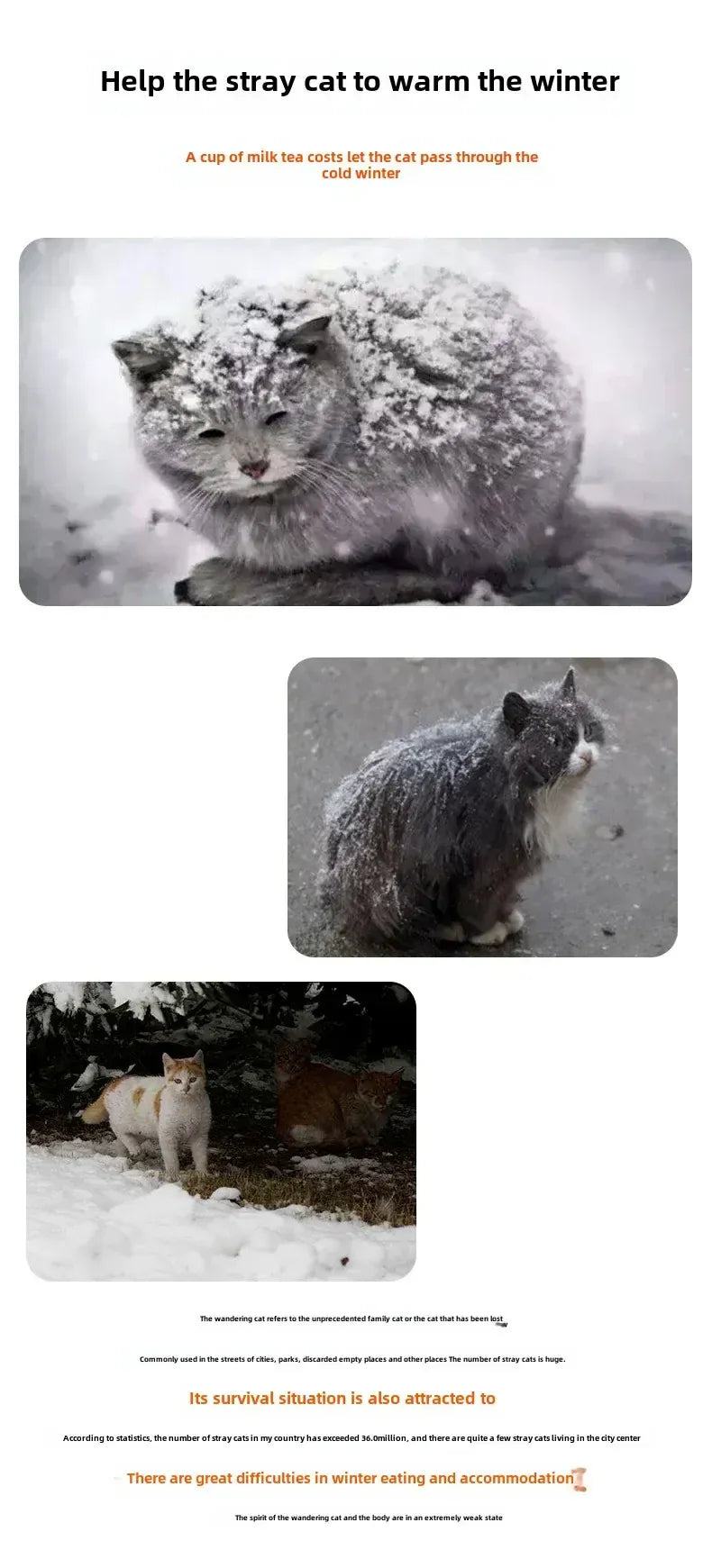 TechnuPet Cat House Waterproof Foldable Outdoor Cat House