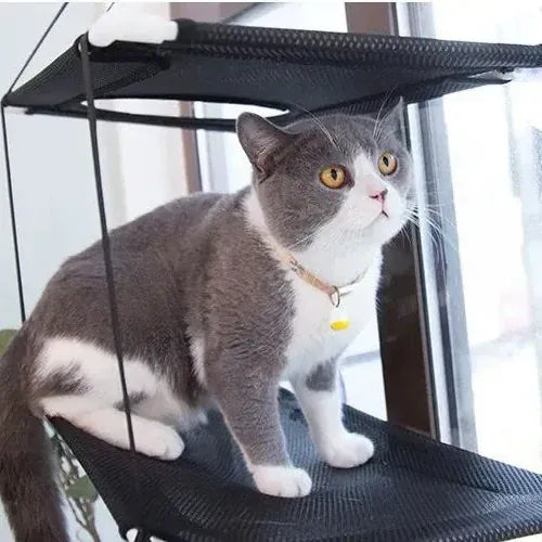 TechnuPet Cat Hammock Window Cat Hammock Suction Mount