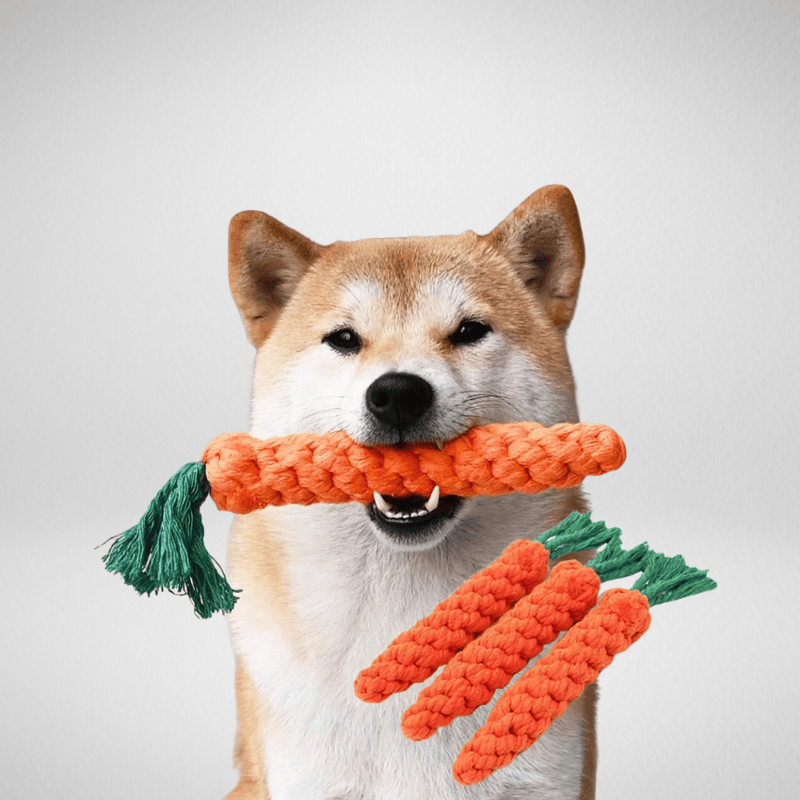 TechnuPet Dog Toys A-23cm Carrot Rope Dog Toy