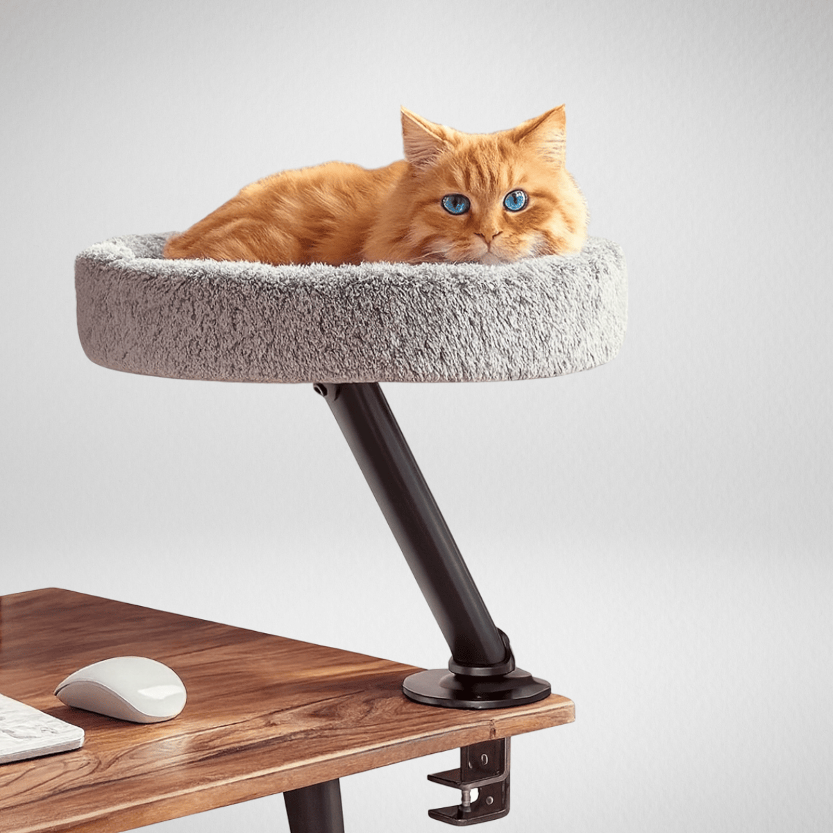TechnuPet Cat Hammock Desk Cat Hammock Bed