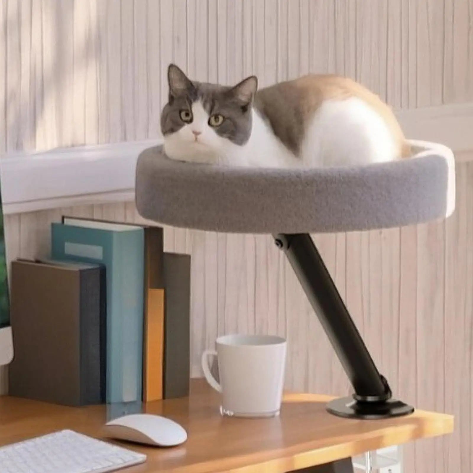 TechnuPet Cat Hammock Desk Cat Hammock Bed