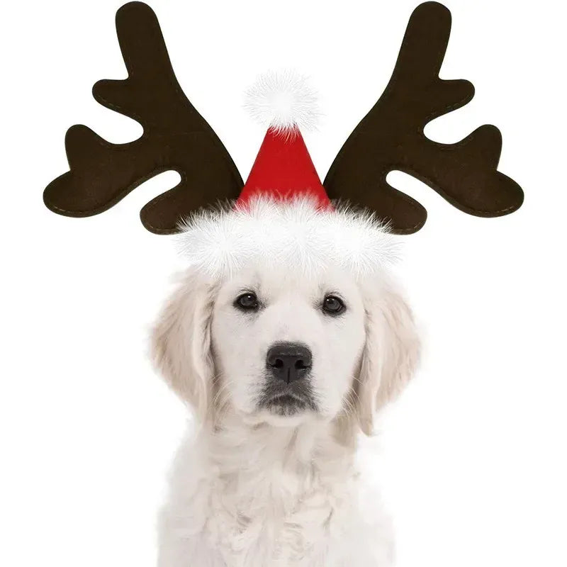 TechnuPet Pet Clothing Reindeer Antlers Christmas Dog Headband